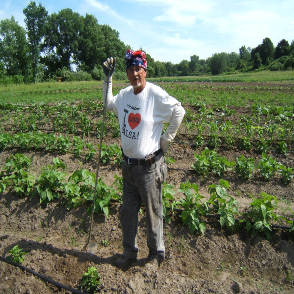 Farmer Farmer