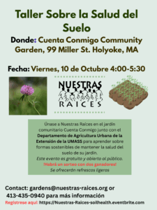 taller de suelo 2