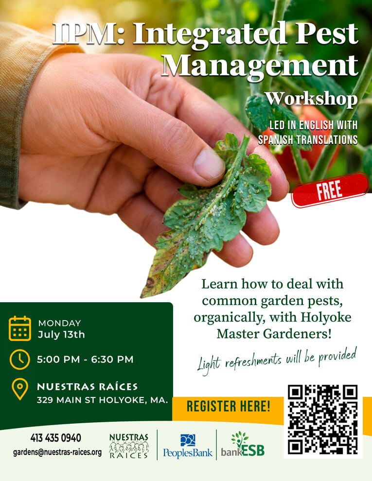 flyer01_IPM_ENG_web