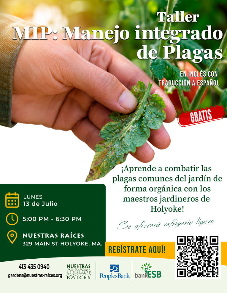 flyer_MIP_Sp_web