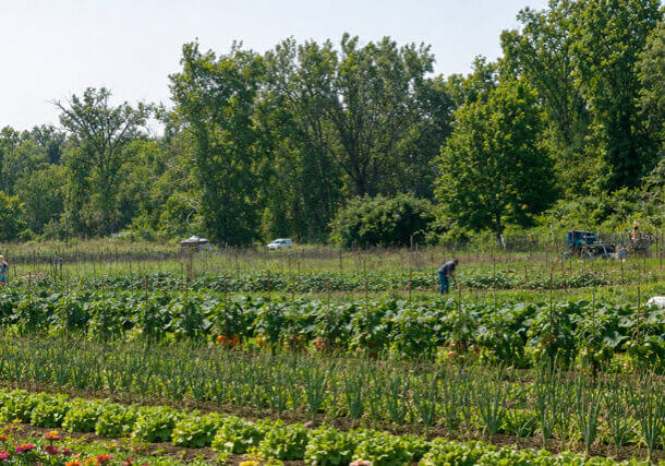 Agricultor_1